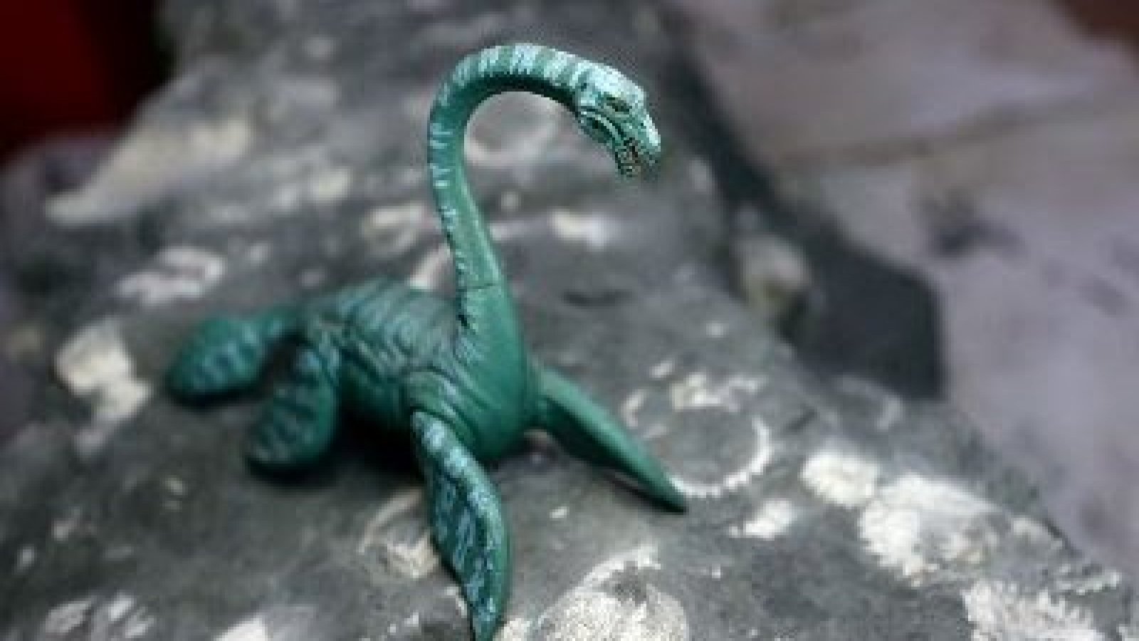Tesoro en Algarrobo: Hallan Elasmosaurio de 70 millones de años en costa chilena