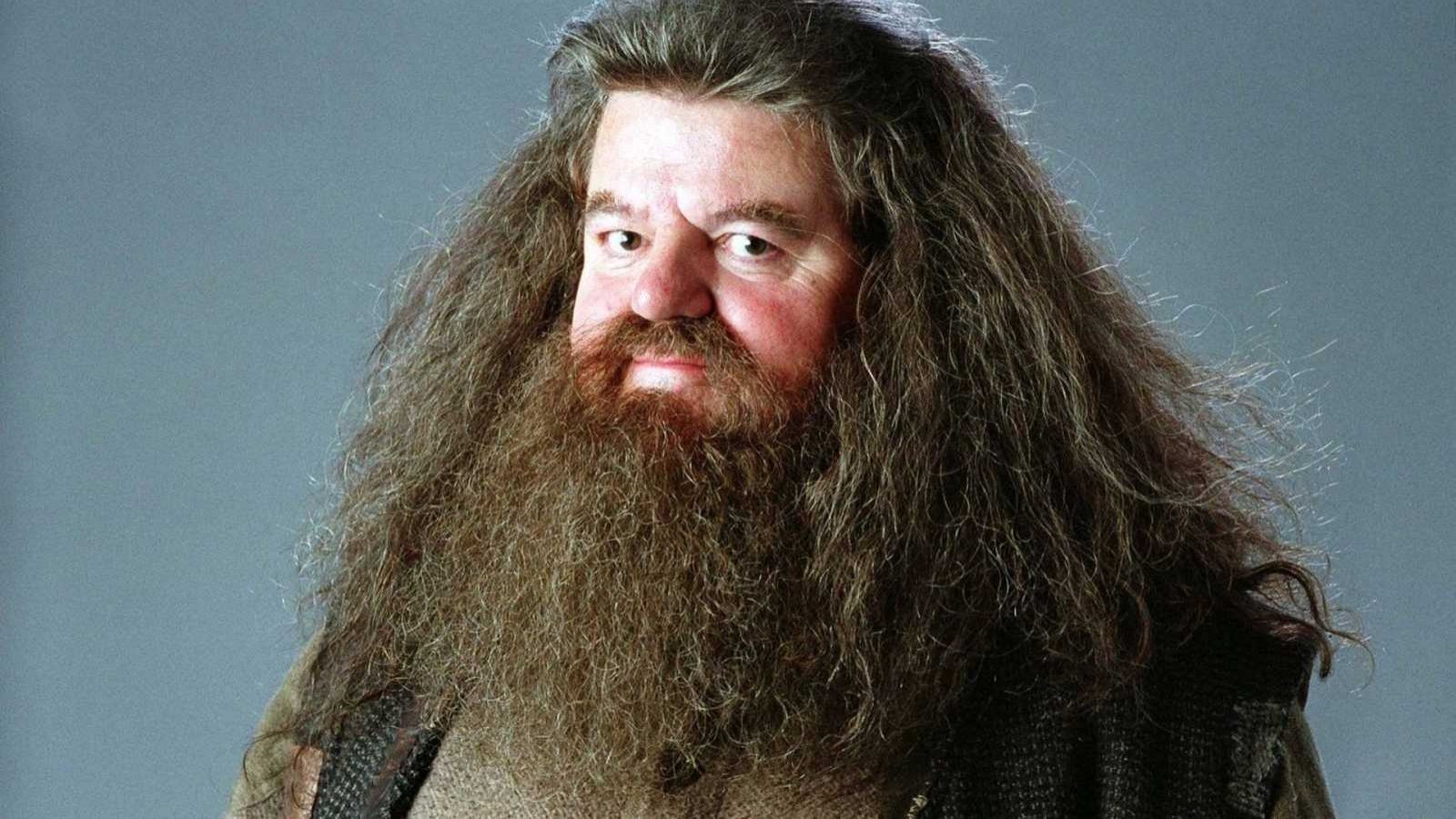 Revelan Causa De Muerte De Robbie Coltrane, Reconocido Actor De Harry ...