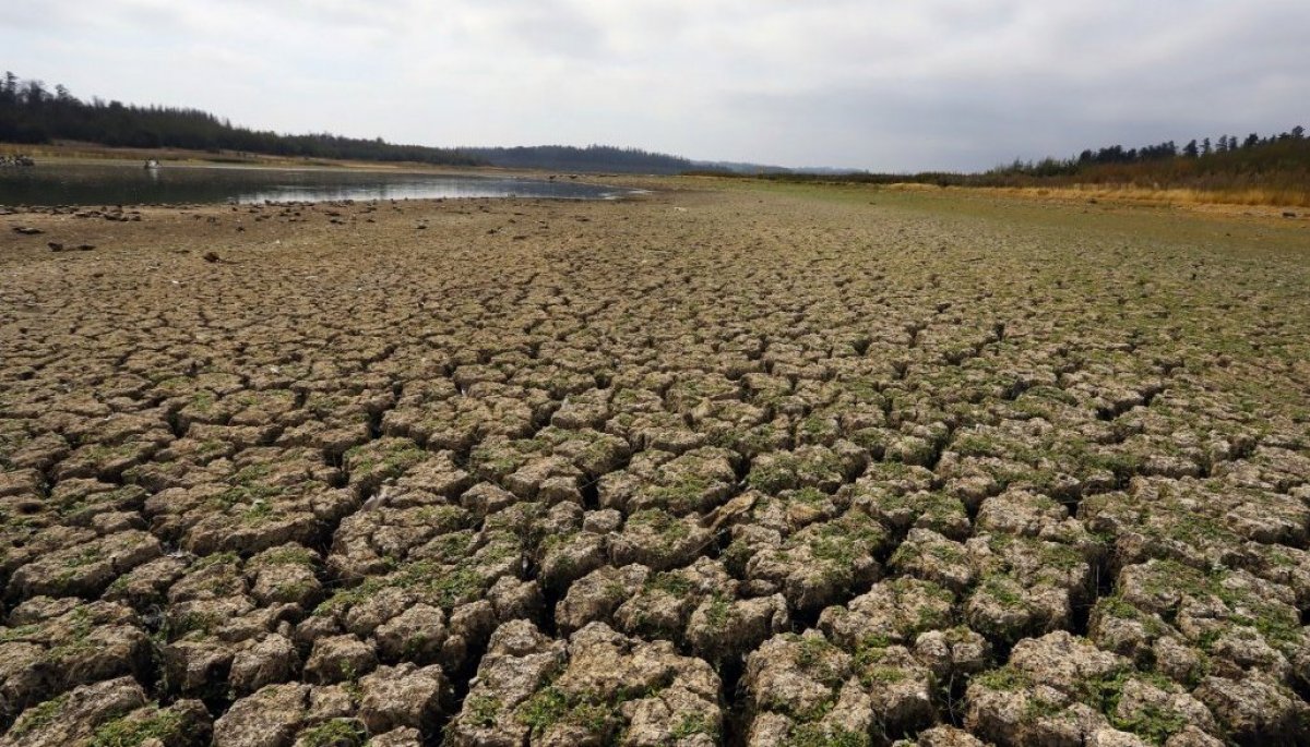 Agroclimatólogo La Megasequía Se Profundizará Y Las Temperaturas