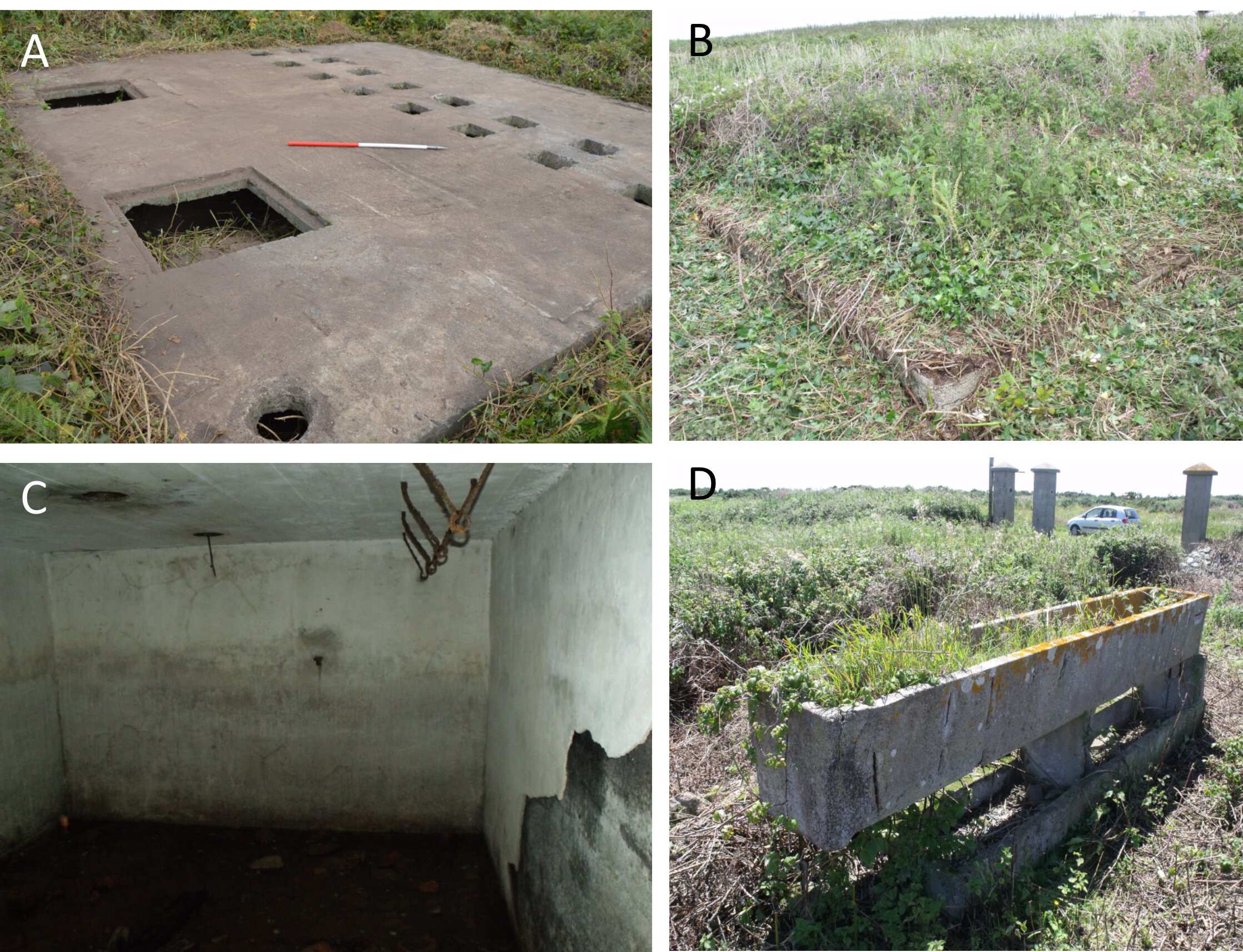 A) El bloque de letrinas. B) Oficina de las SS. C) Sótano de la cocina de los prisioneros. D)Establos.