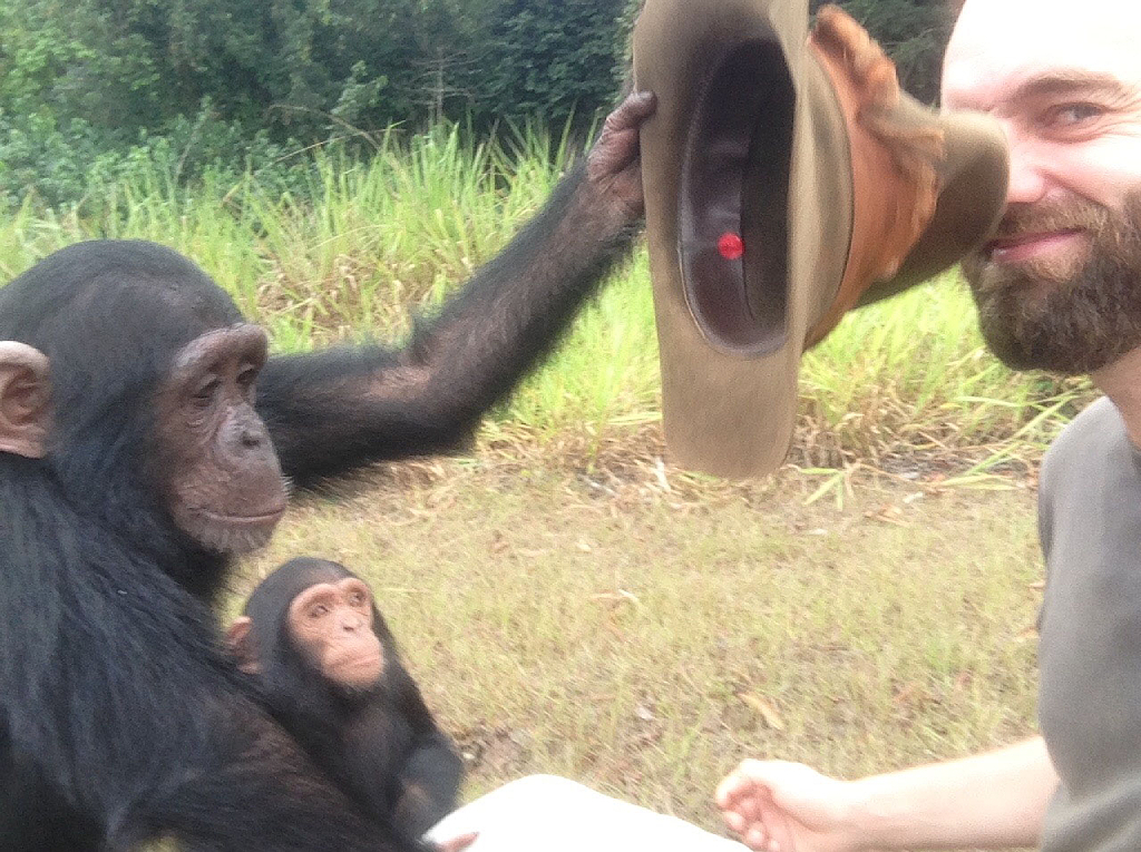 Thor con chimpancés