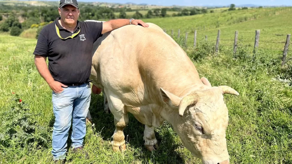 El agricultor Claudio Lauteri se niega a comer alimentos a base de insectos y lo ve como una amenaza para la dieta mediterránea