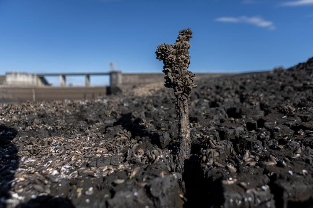 La tierra reseca y cuarteada en Paso Severino.