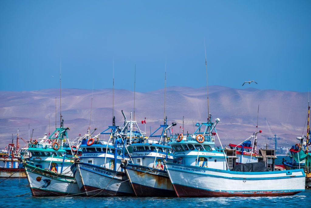 Barcos pesqueros amarrados en las Islas Ballestas.a. 