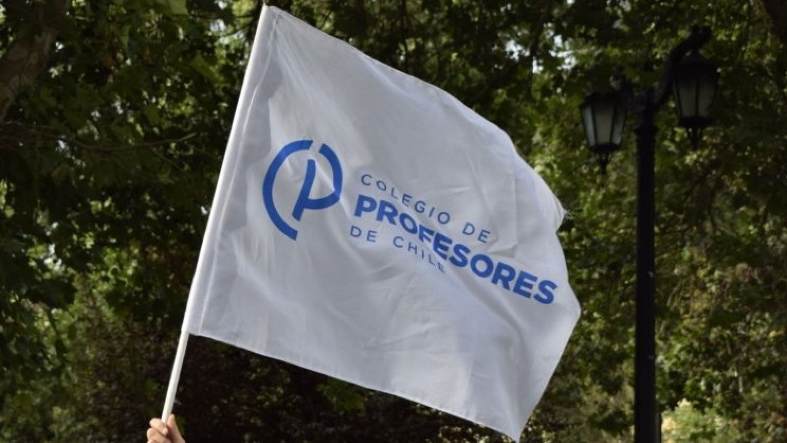 Elecciones en Colegio de Profesores