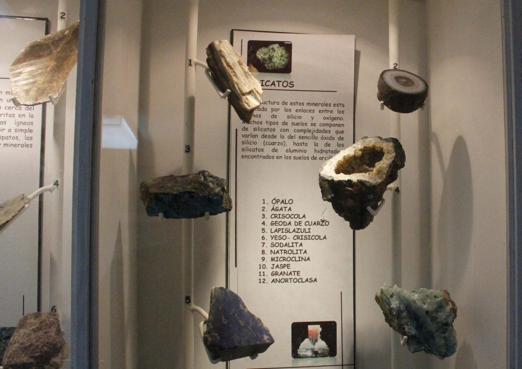 Museo de Geología Udec