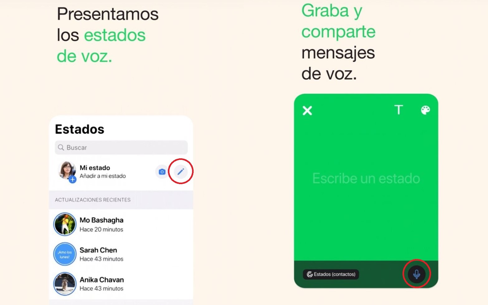 Estados de voz de WhatsApp