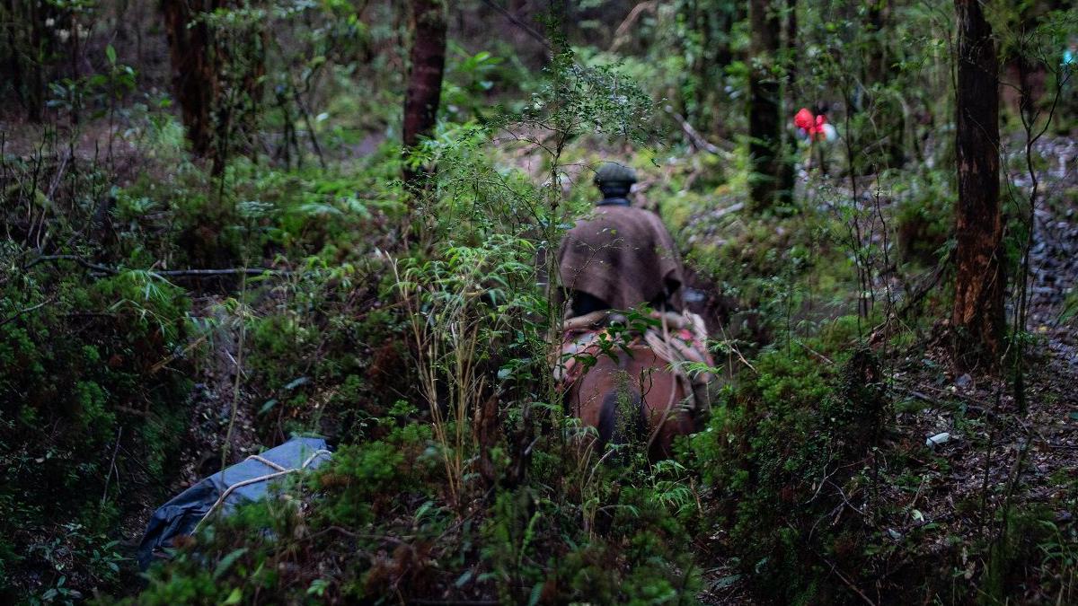 Un hombre a caballo en la hacienda