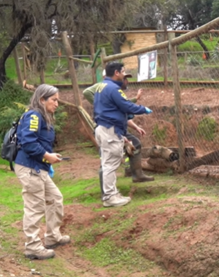 Investigación zoológico Quilpué.