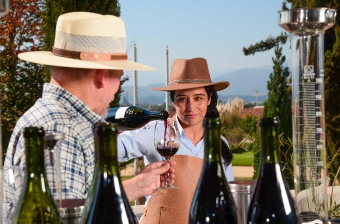 Vinos de Valle Viñamar en Día del Padre.