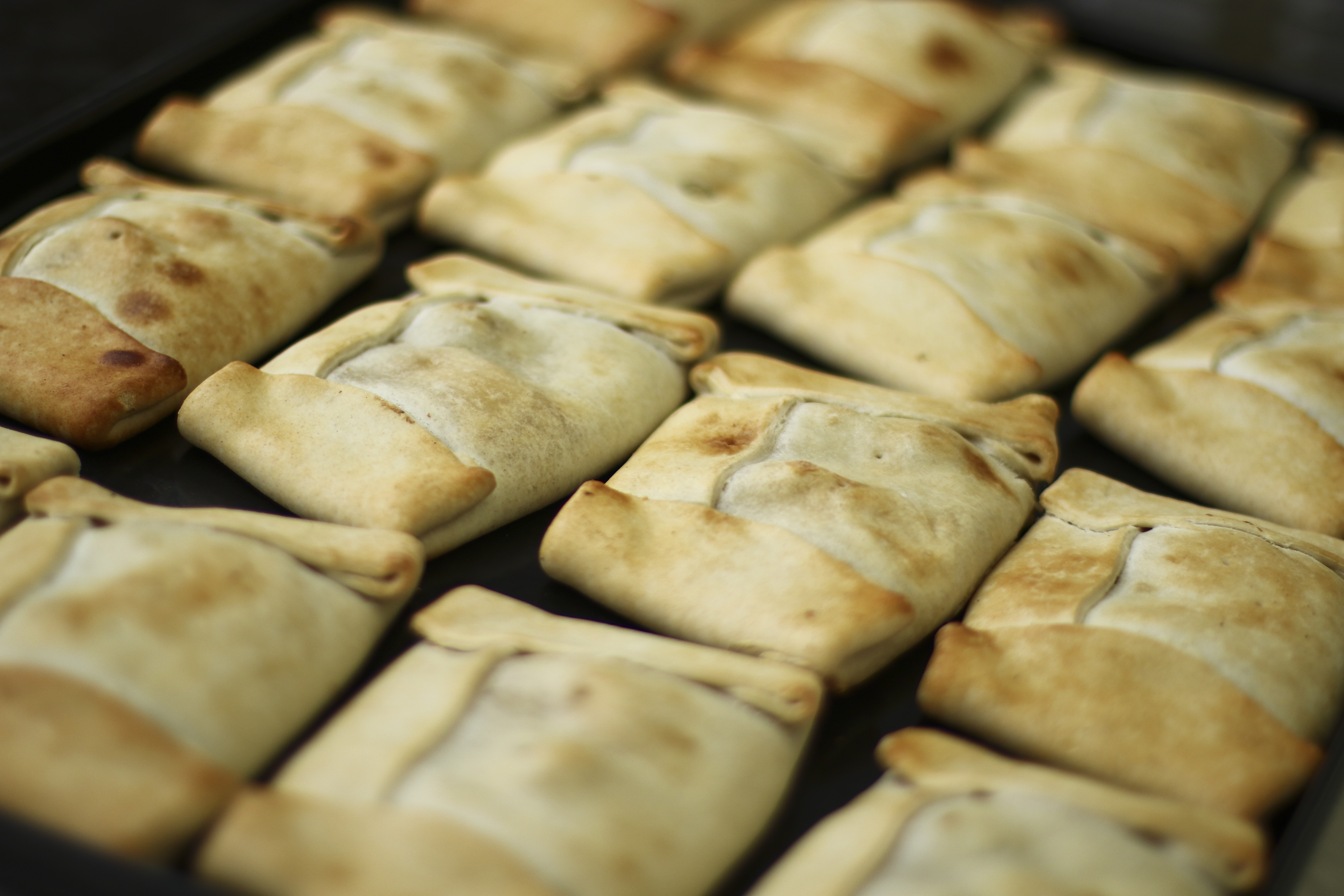 Empanadas de parque ohiggins