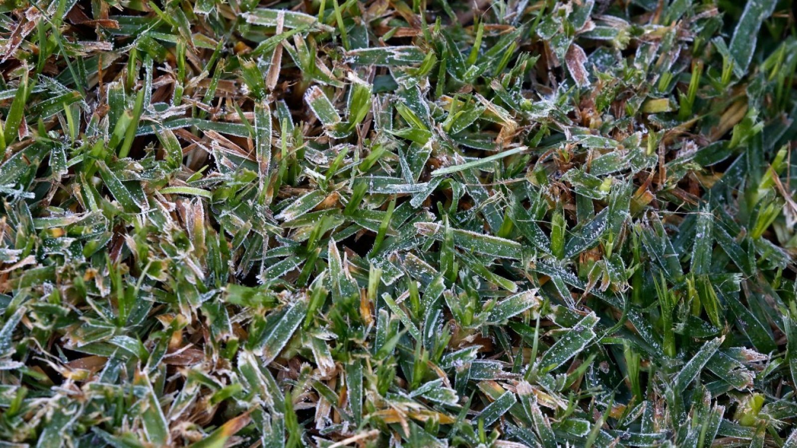 Bajas temperaturas en zona centro sur