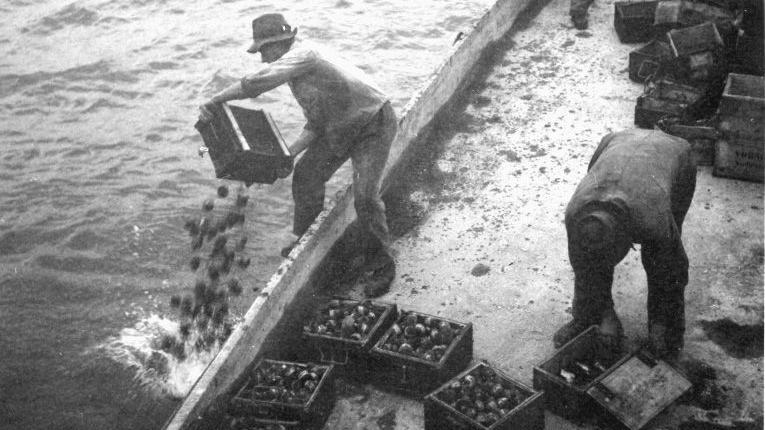 Hombres descargan municiones en un lago de Suiza.