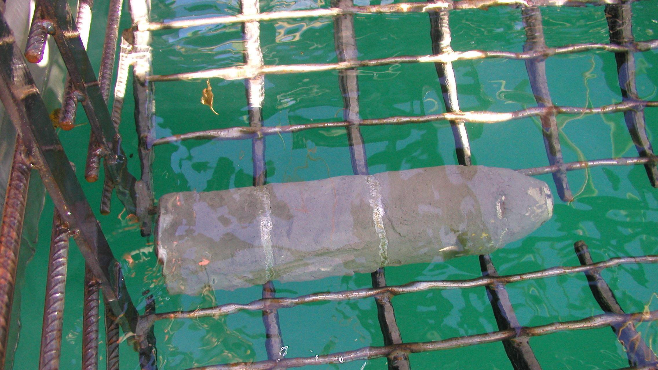 Se extraen municiones de un lago en Suiza.