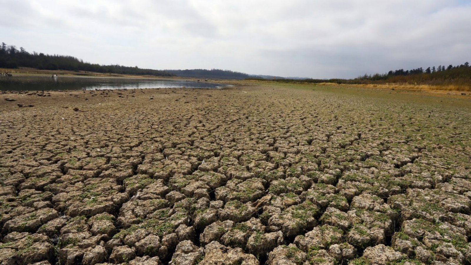 Sequía y fenómeno de La Niña.