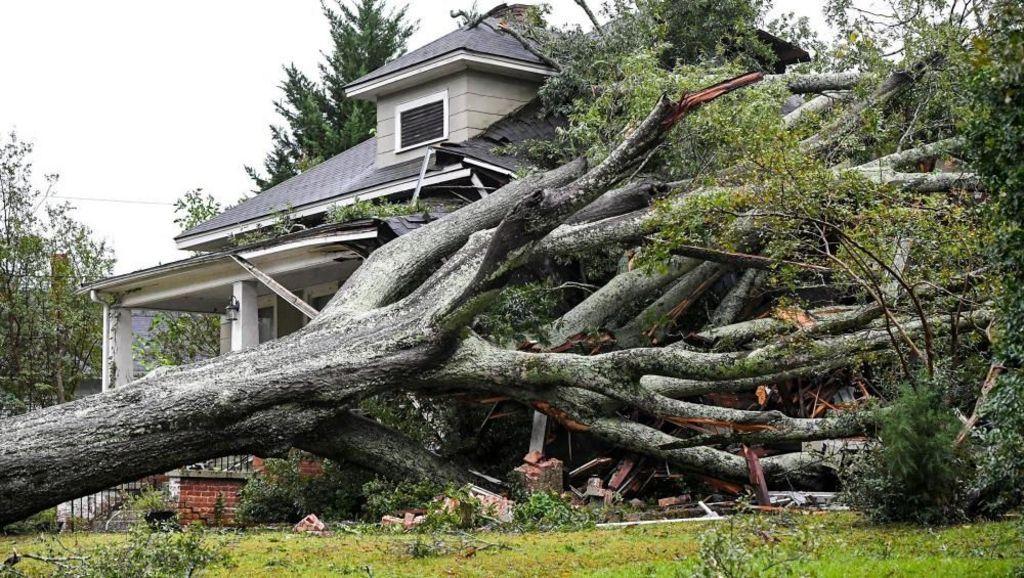 Un árbol se desplomó sobre una casa. 