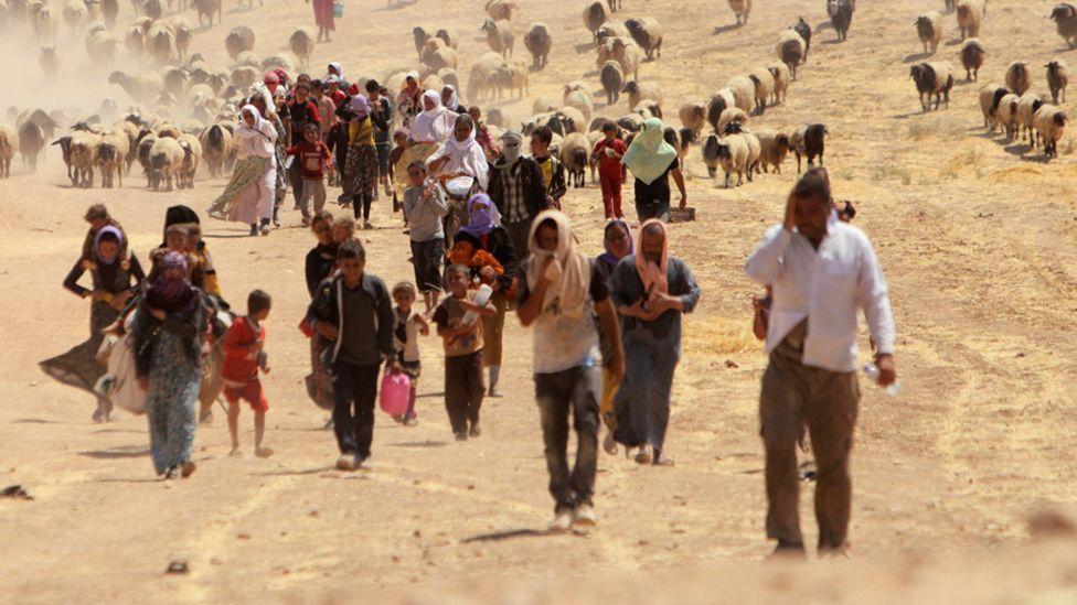 Yazidíes caminan acompañados de ovejas huyendo de Estado Islámico.