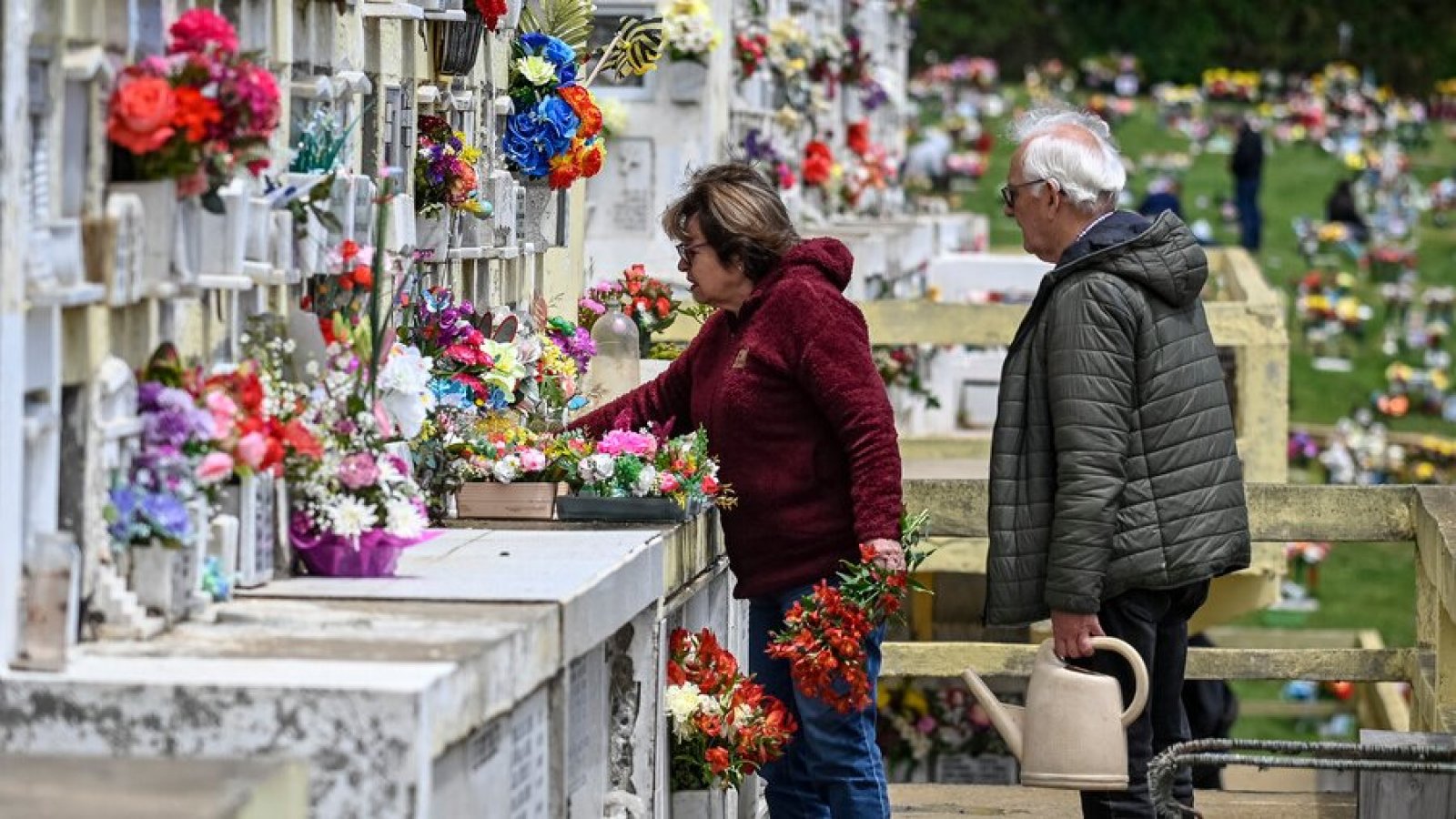 ¿Es feriado irrenunciable este 1 de noviembre? Día de Todos los Santos. Cementerio