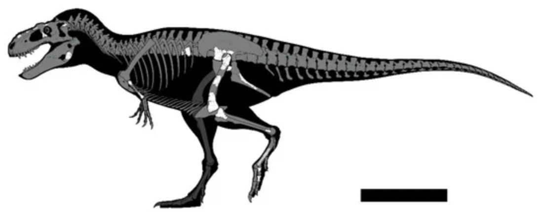 Reconstrucción esquelética de Labocania aguillonae