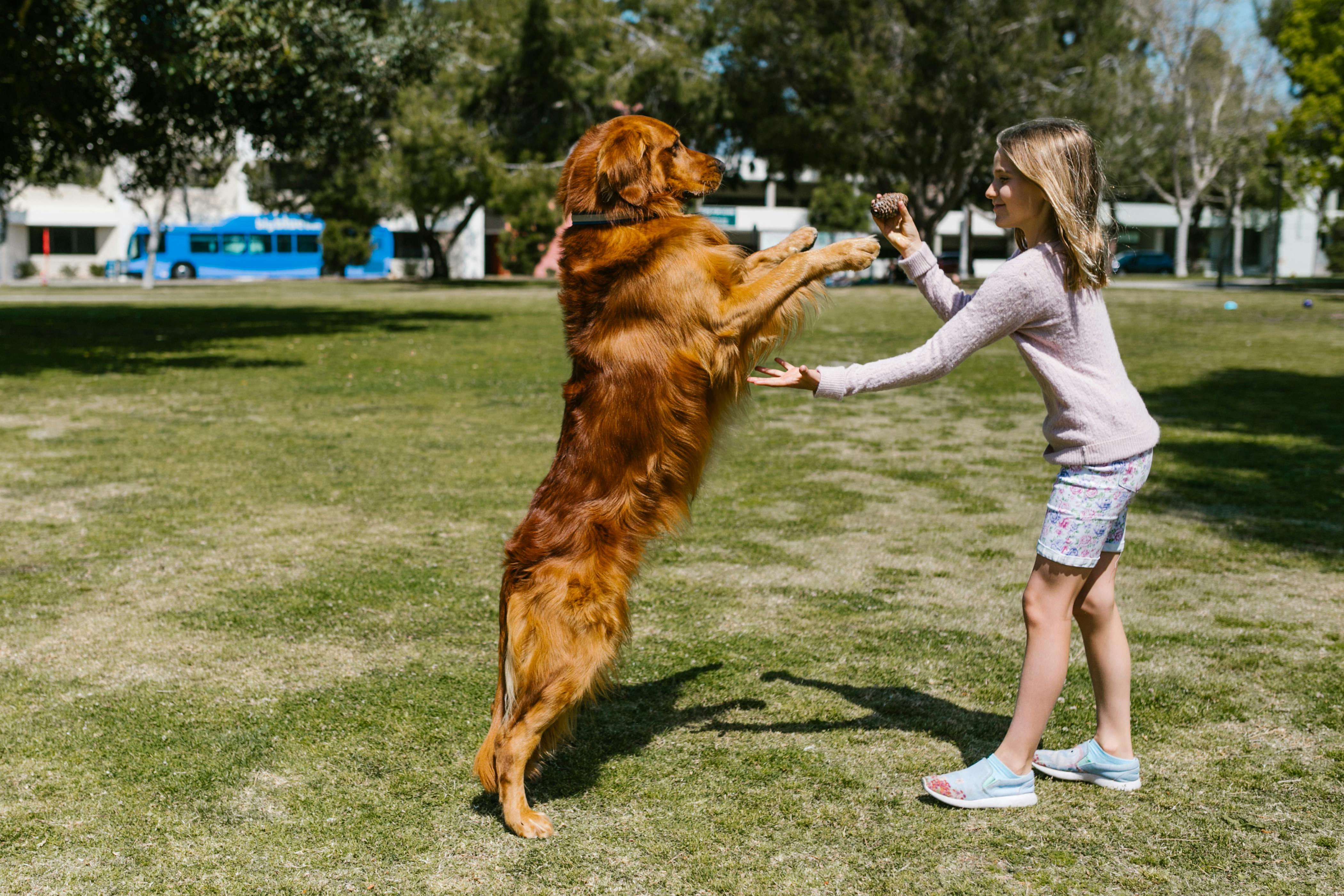 Perro y niña