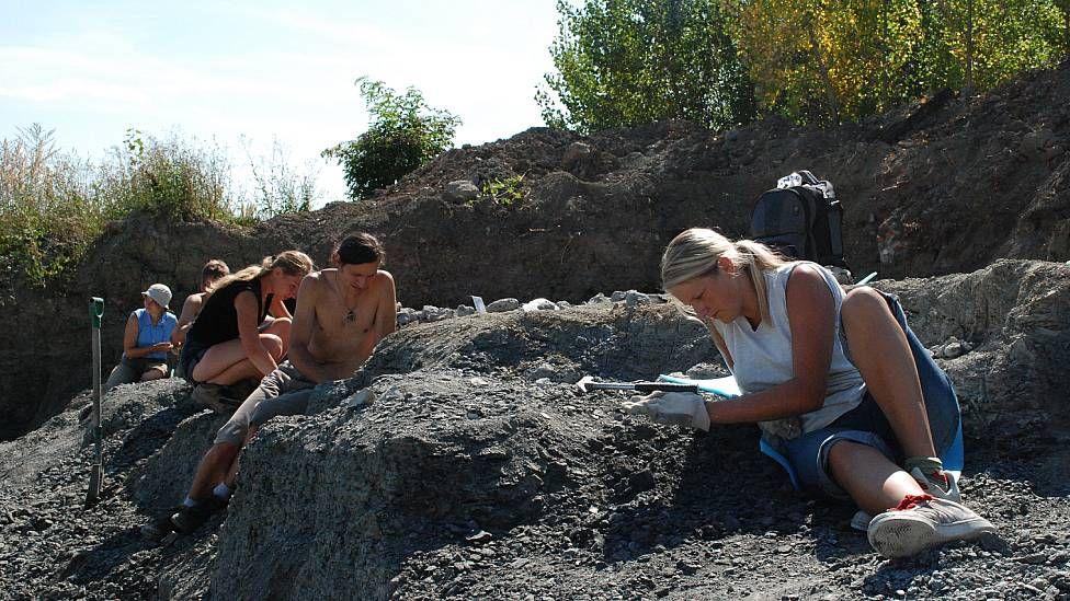 Científicos en Polonia excavando fósiles