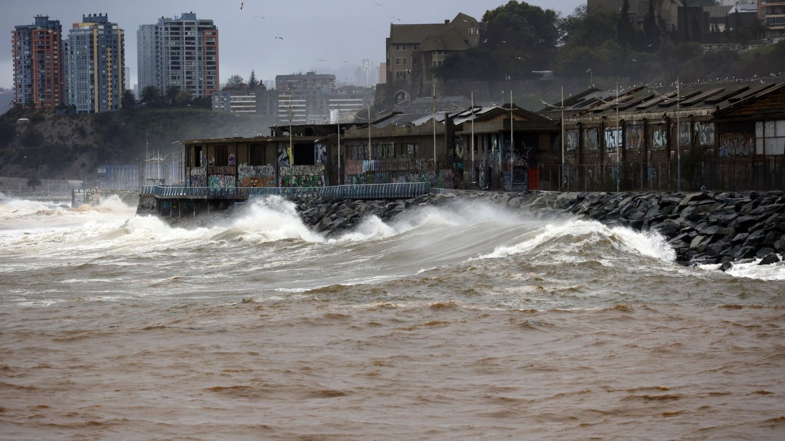 Shoa y cartas de tsunami