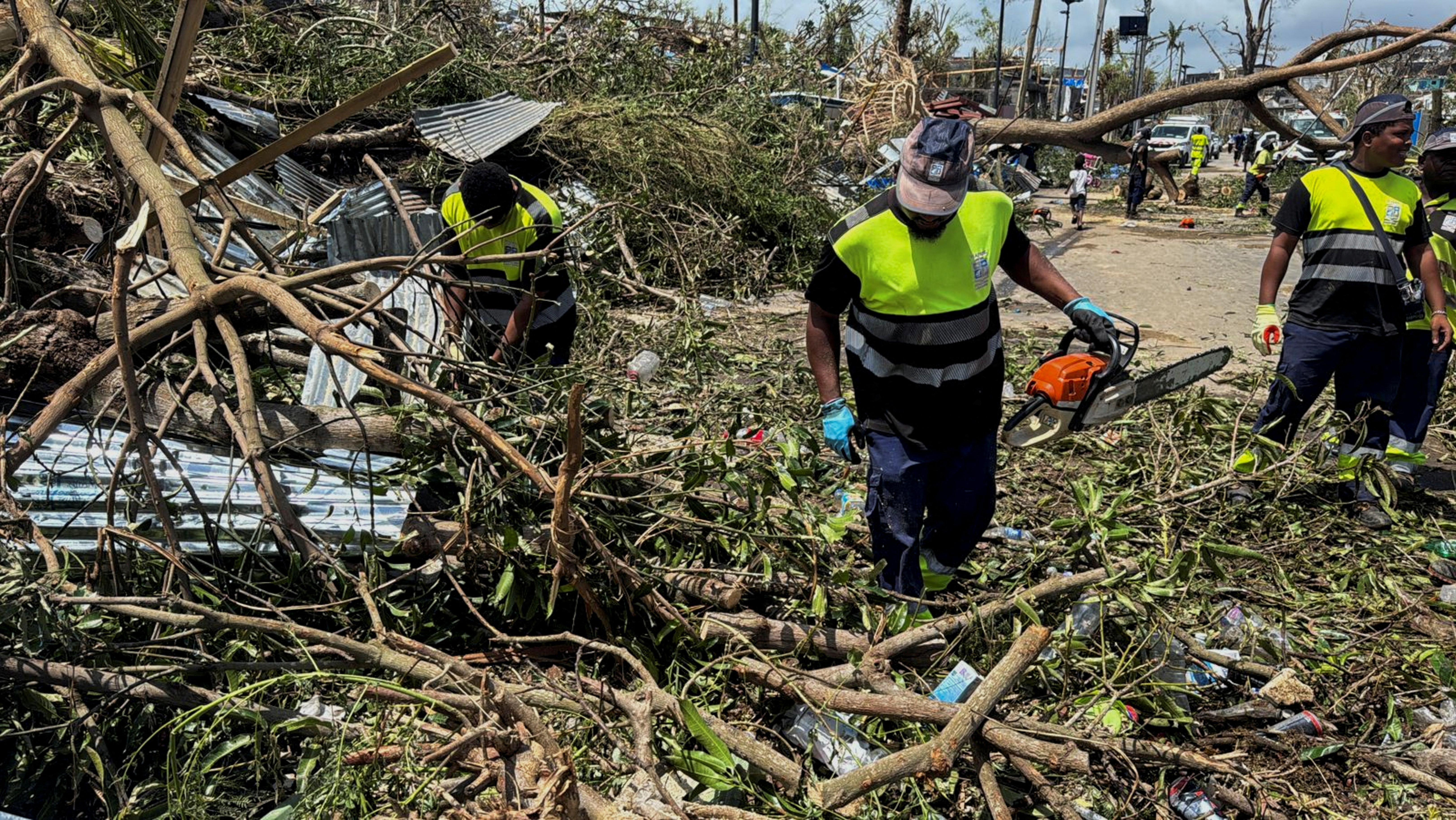 Rescatistas limpian maleza y desperfectos en busca de sobrevivientes. 