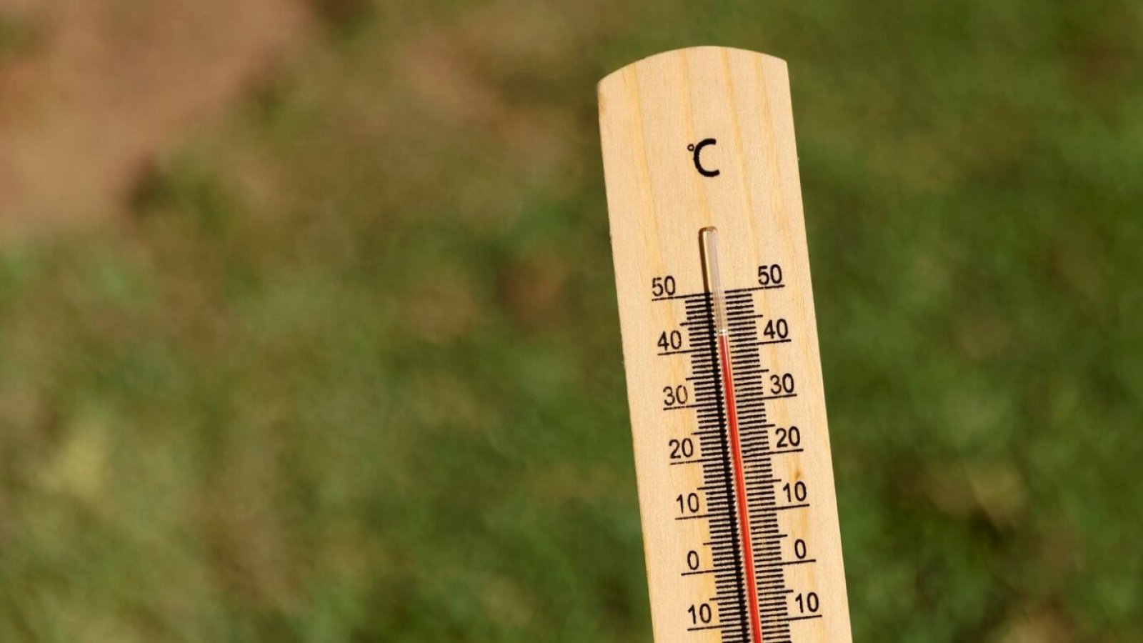 Altas temperaturas en 4 regiones