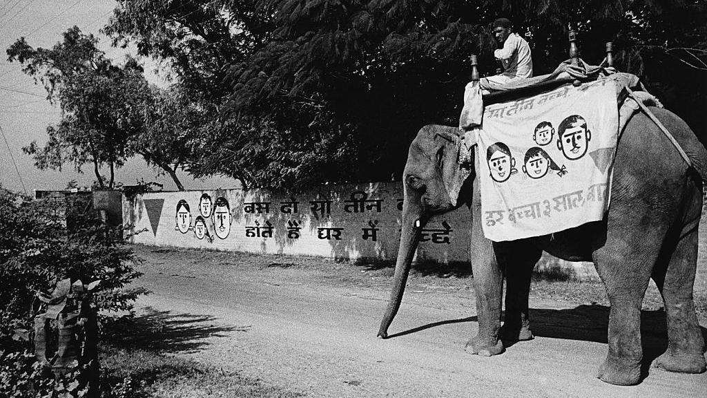 Un elefante que lleva el símbolo del triángulo rojo del Fondo Lal Tikon para promover el control de la natalidad y la planificación familiar, ingresa a un pueblo para difundir la noticia y ofrecer información.