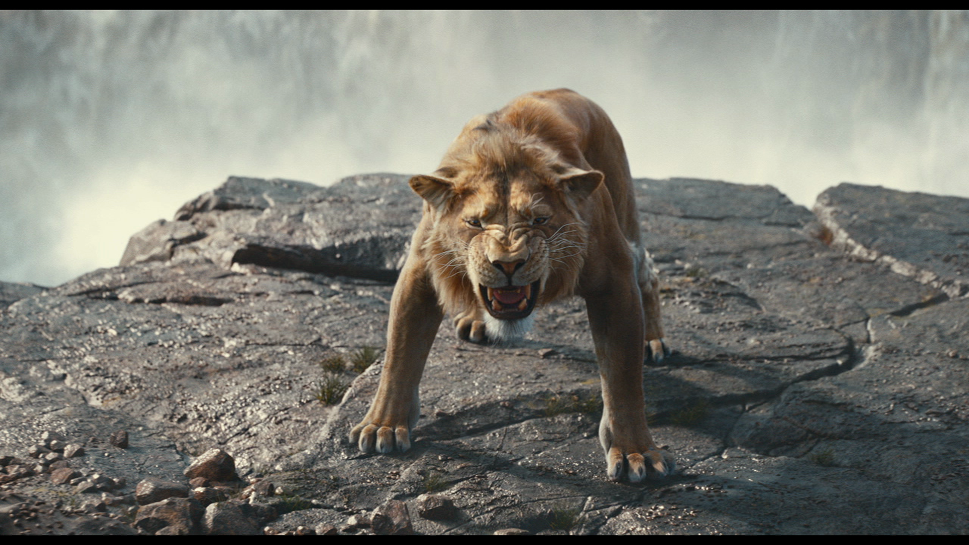 Escena de "Mufasa: el rey león"