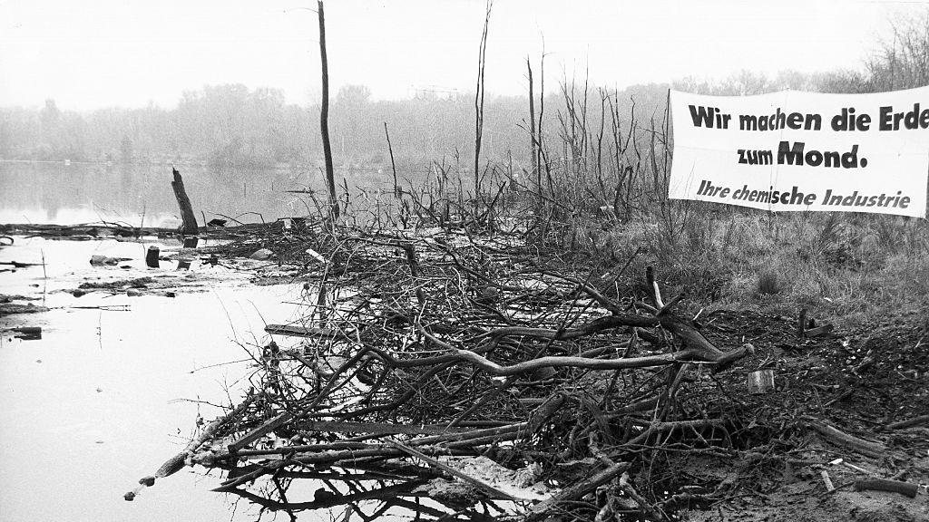 Greenpeace en Alemania