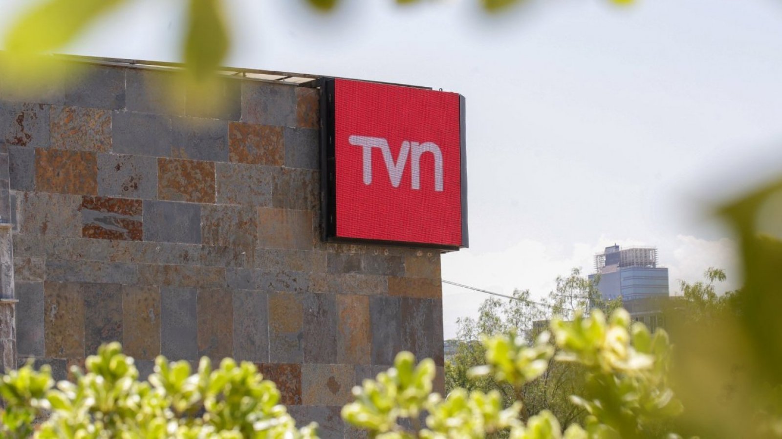 TVN