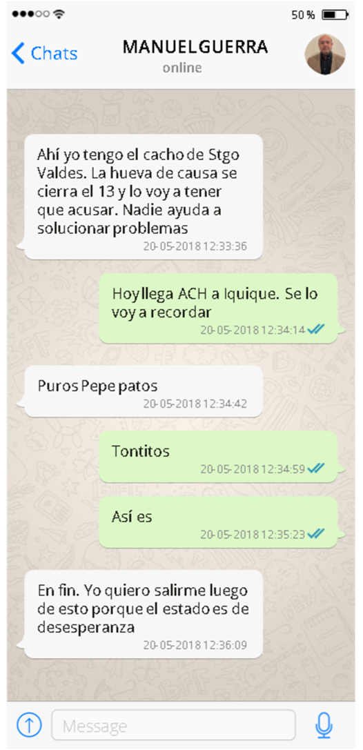 Chat Hermosilla y fiscal Guerra