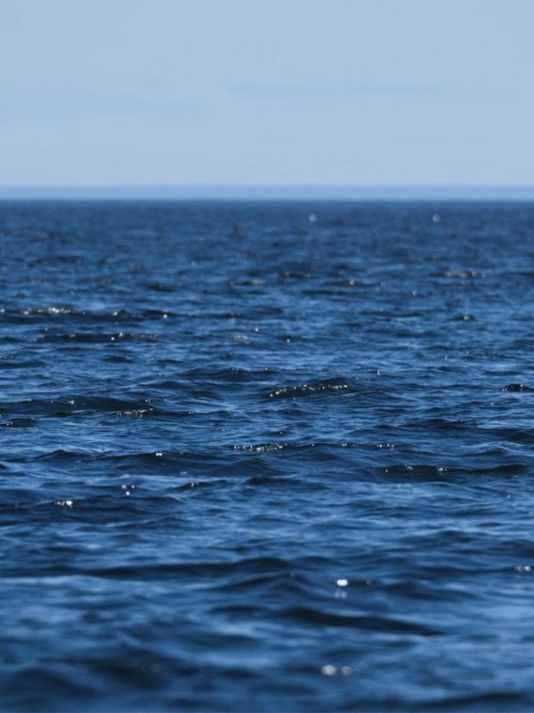 Océano pacífico. La Niña.